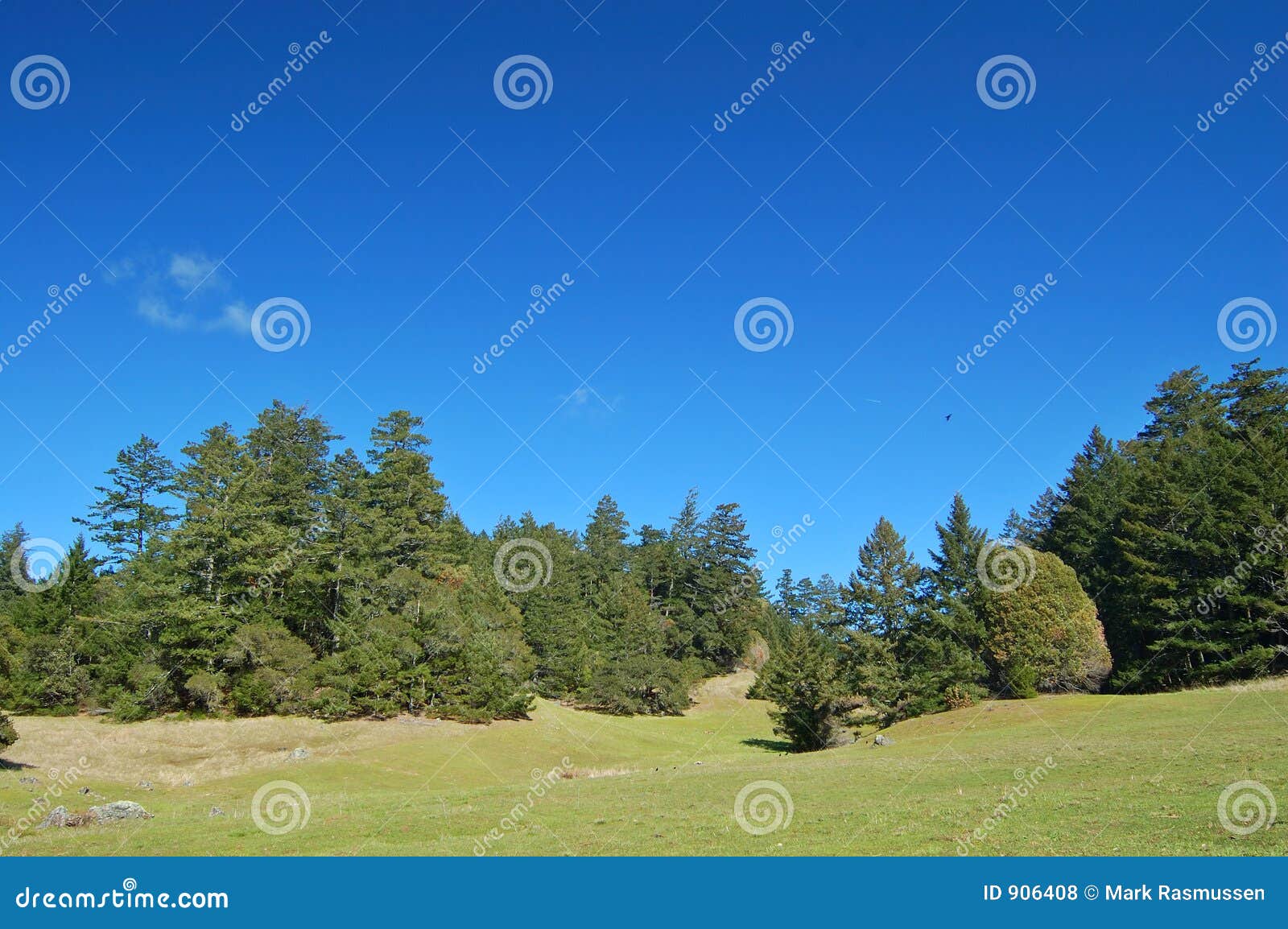 mt. tamapalais