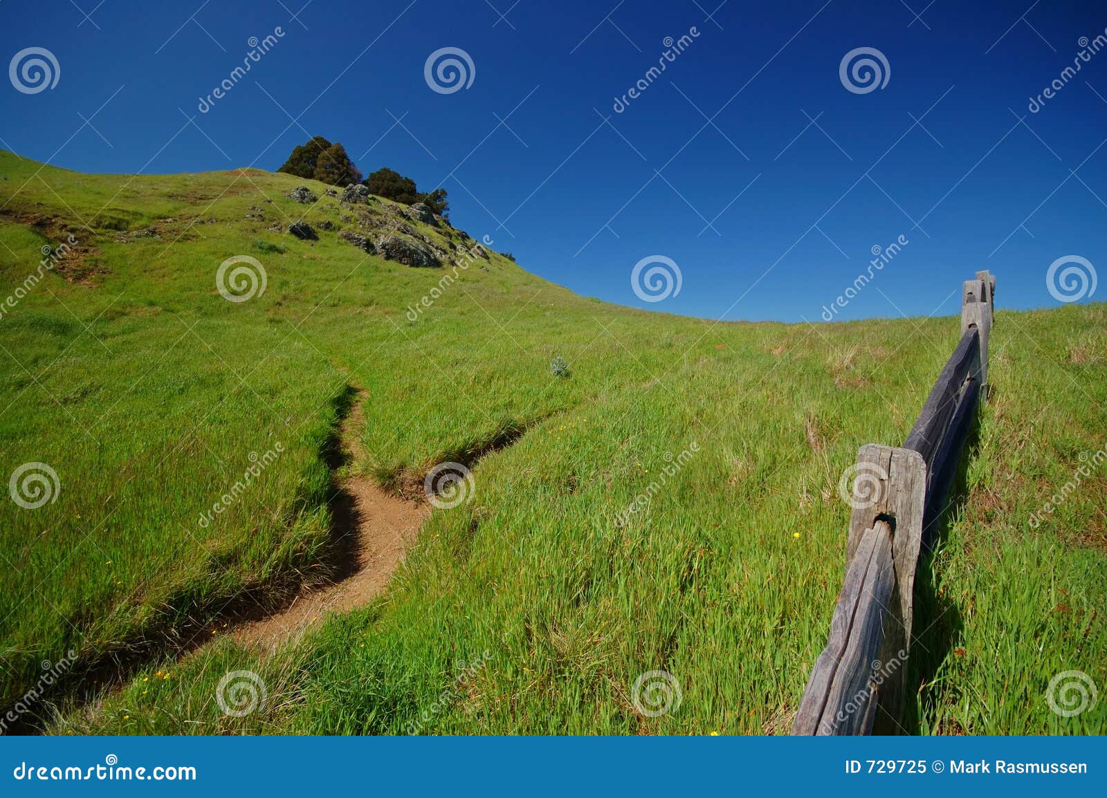 mt tamaplais trail