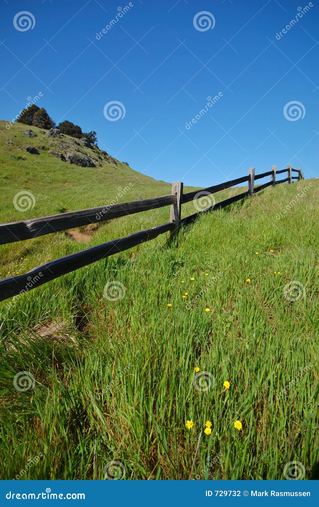 mt tamaplais trail