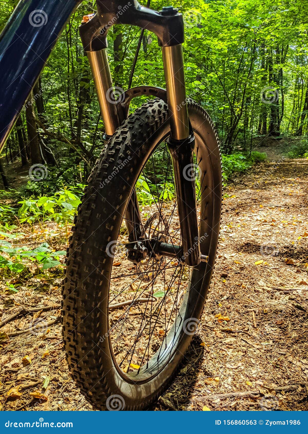 MTB Bicycle on the Trail in the Summer Season Stock Image Image of