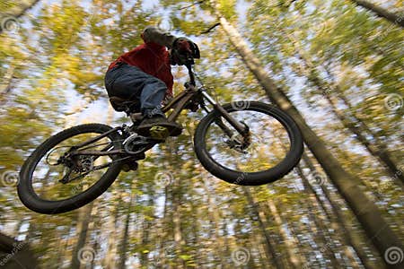 Mtb Dirt Jump stock photo. Image of dirt, cycle, forest - 6866726