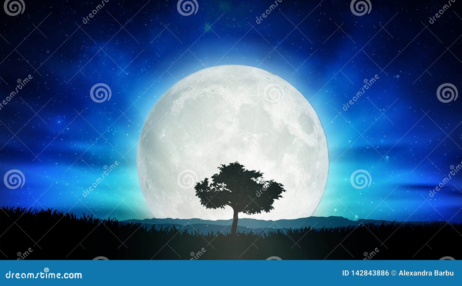 beautiful full moon, solitude tree silhouette nature landscape