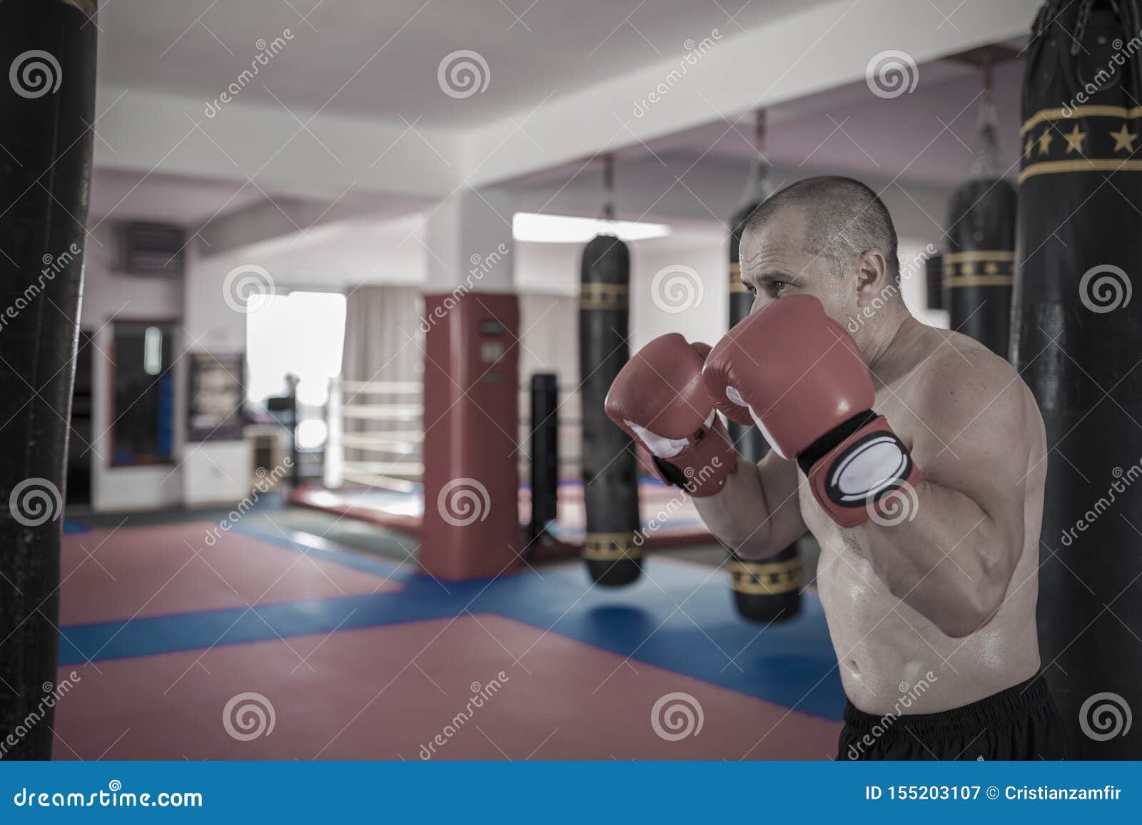 Muay Thai Fighter Hitting the Heavy Bag Stock Image Image of fight