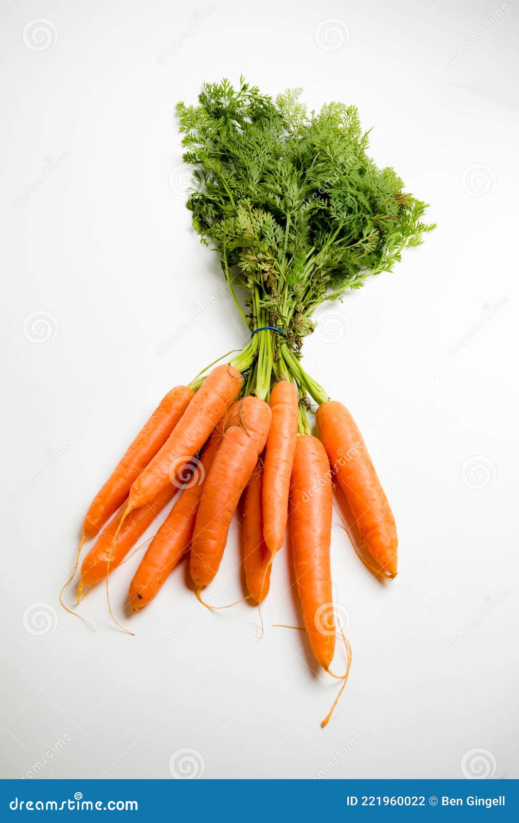 Carote su sfondo bianco - Carrots on white background Stock Photo