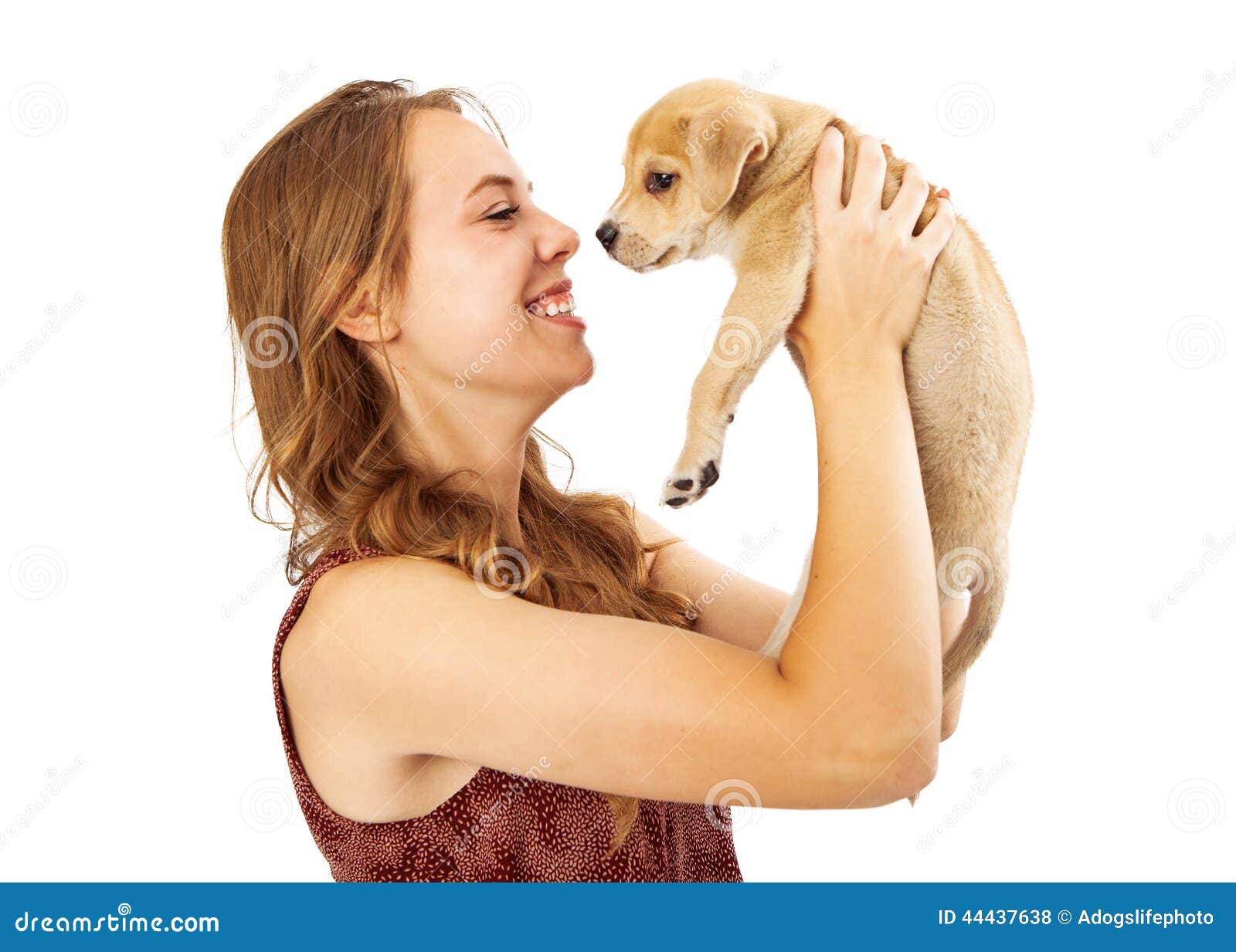 Muchacha Bonita Que Coge El Pequeño Perrito Foto de archivo - Imagen de rescate, perrito: 44437638