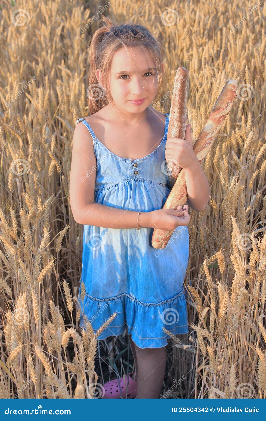 Muchacha Con Pan En El Campo De Trigo Foto de archivo Imagen de