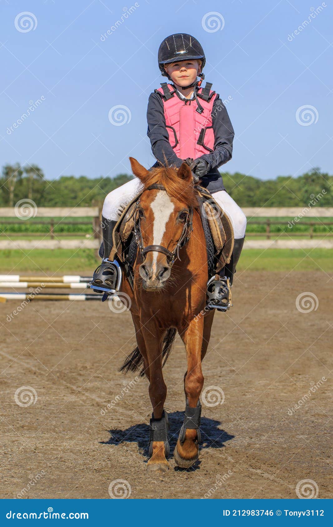 Muchacha Joven En La De Competición El Caballo Foto editorial - Imagen julio, hermoso: 212983746