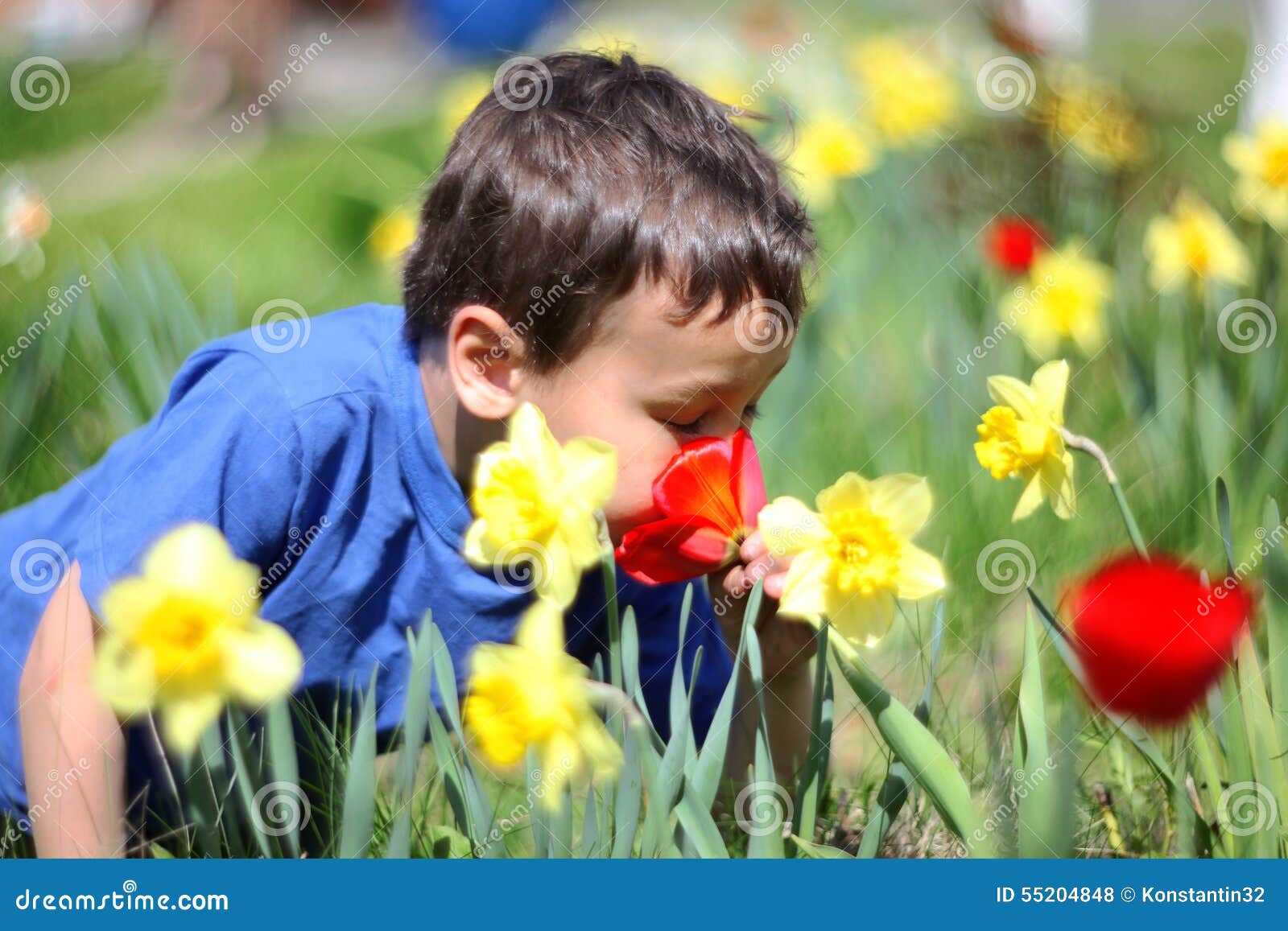 Muchacho que huele flores foto de archivo. Imagen de poco - 55204848