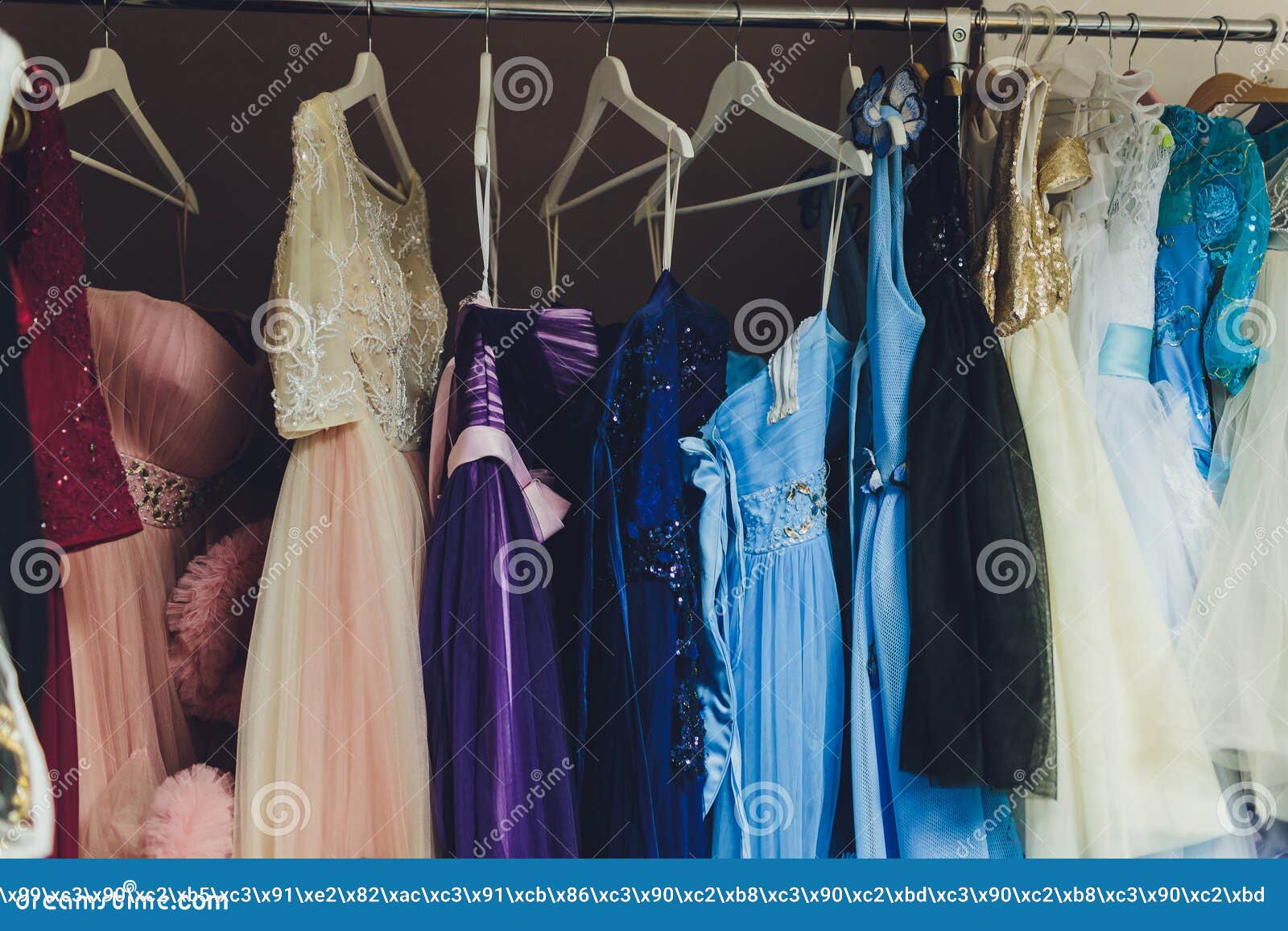 Muchas Damas Por La Noche Lucen Vestidos Largos En La Colcha En La Tienda De Alquiler De Ropa Para El Día De La Boda. Concepto De Imagen de archivo - Imagen de Muchas Damas Por La Noche Lucen Vestidos Largos En La Colcha En La Tienda De Alquiler De Ropa Para El Día De La Boda. Concepto De Imagen de archivo - Imagen de