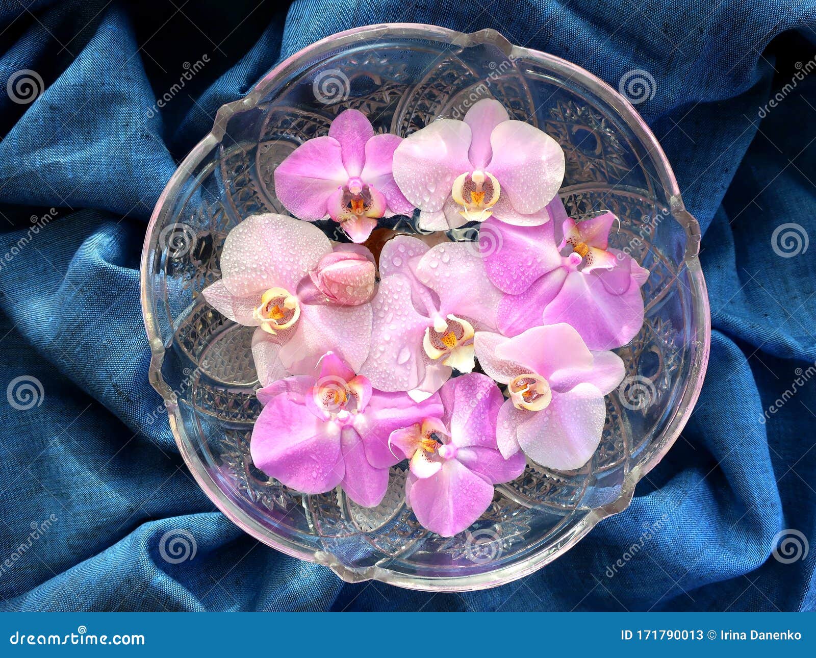Orchideenvase orquídeas mesa jarrón clara ronda jarrón jarrón jarrón de cristal redondo