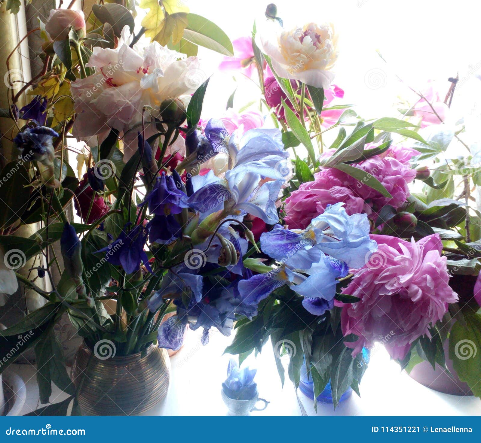 Muchas Peonías Azules De Los Iris, Del Aquilegia, Rosadas Y Blancas En La  Ventana Por La Mañana Se Encienden Imagen de archivo - Imagen de  recolectado, resorte: 114351221