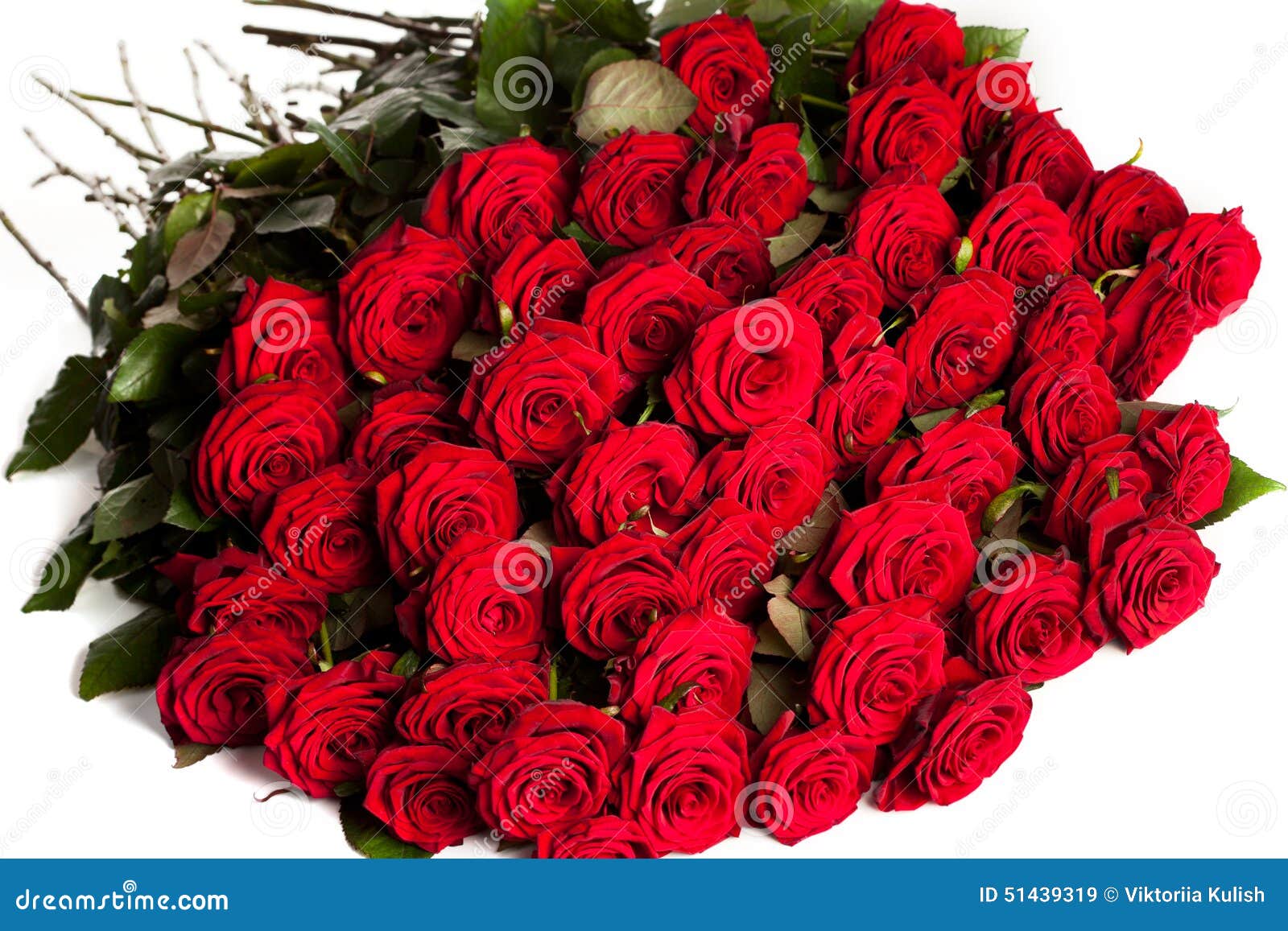 Descarte Hacia fuera Abandonar Muchas rosas rojas imagen de archivo. Imagen de travieso - 51439319