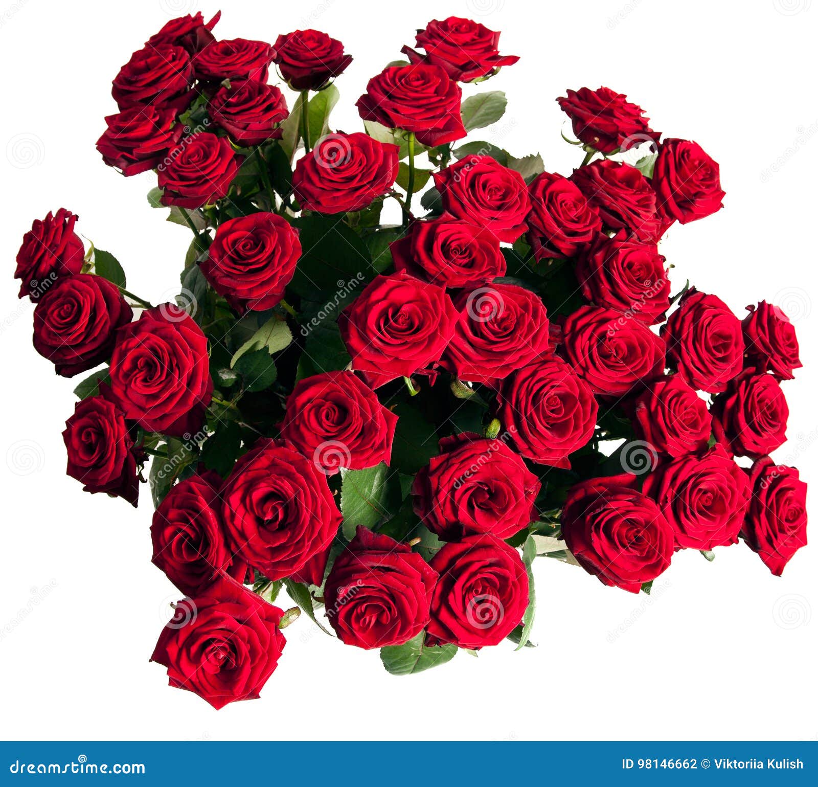 Asesor Saludo portón Muchas rosas rojas foto de archivo. Imagen de ramo, travieso - 98146662