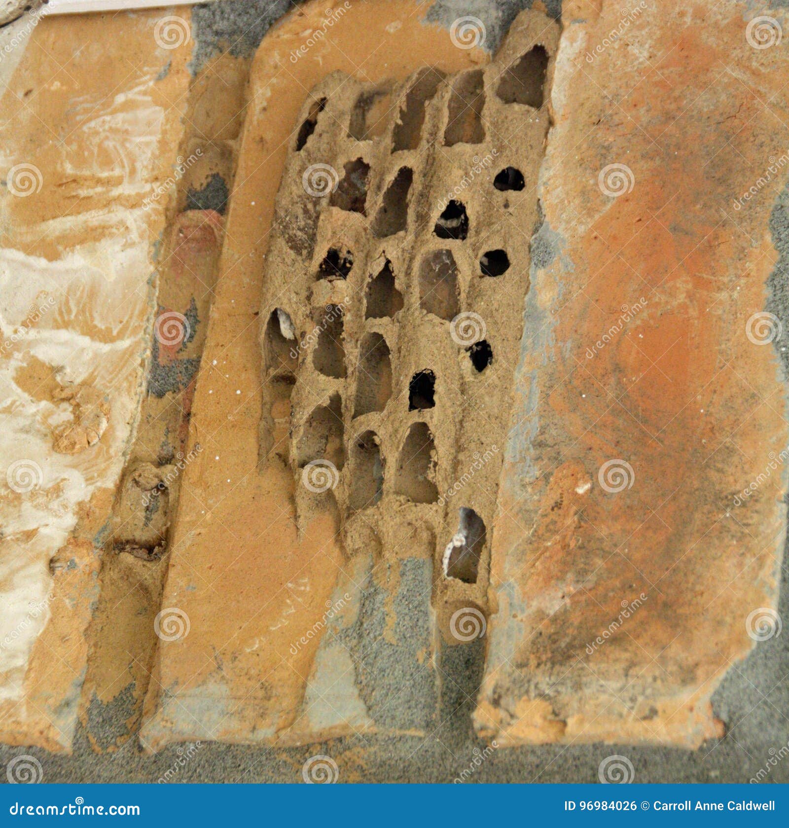 Mud daubers nest stock photo. Image of rough, orange - 96984026