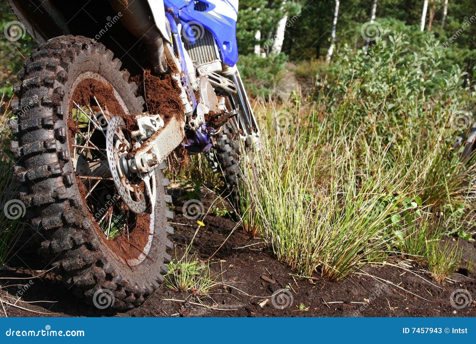 Muddy Rear Wheel of Dirt Bike Stock Image Image of muddy, competition 7457943