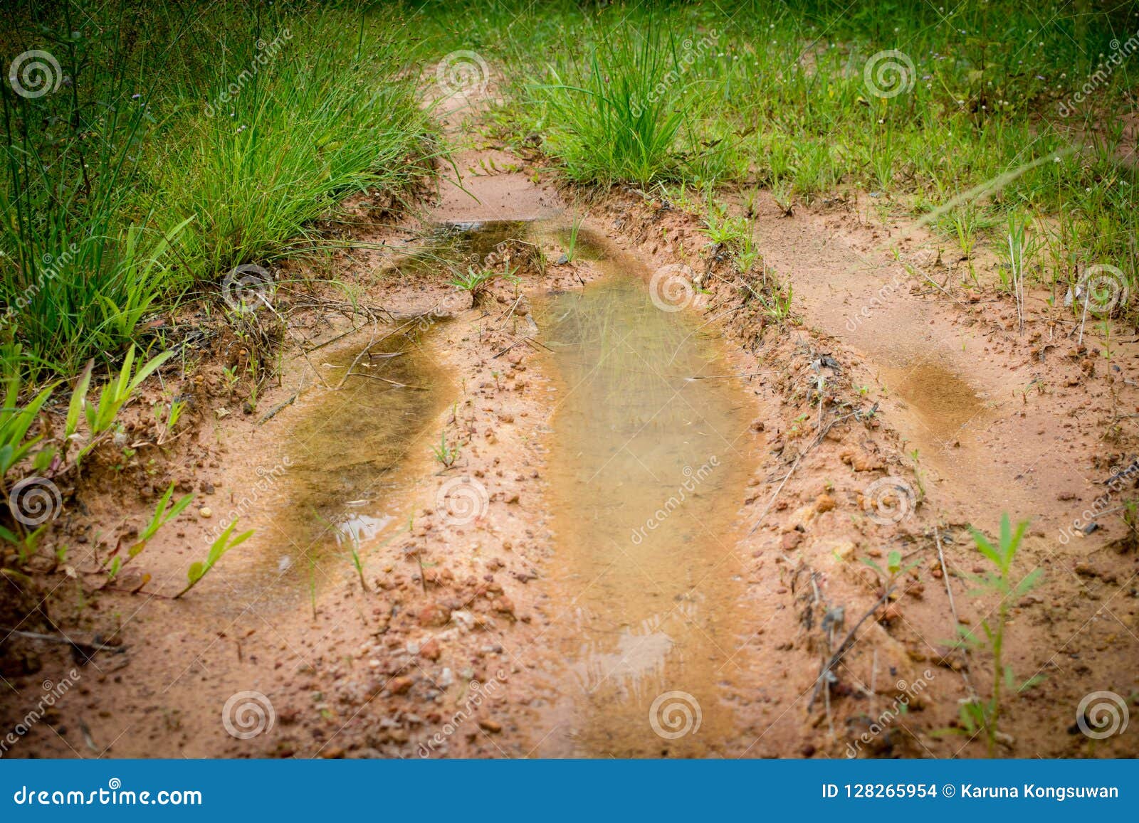 Muddy Tire Track on the Grass Way Stock Photo Image of dirt, heavy