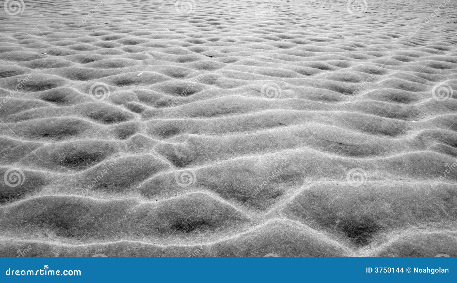 mudflat / sand