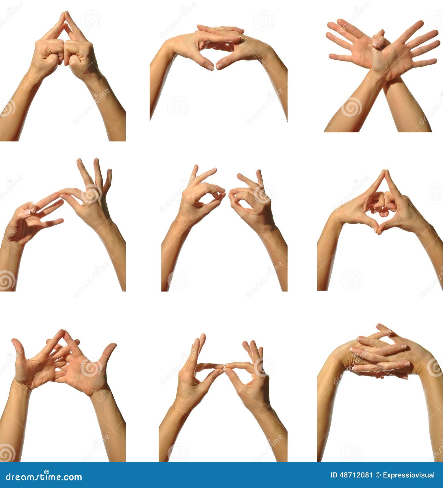 Yoga Hand Symbols 101: Your Comprehensive Introduction to Mudras – Asivana  Yoga