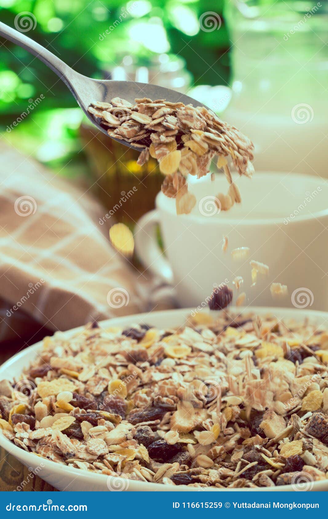 Muesli stock afbeelding. Image of müsli, haver, ontbijt 116615259