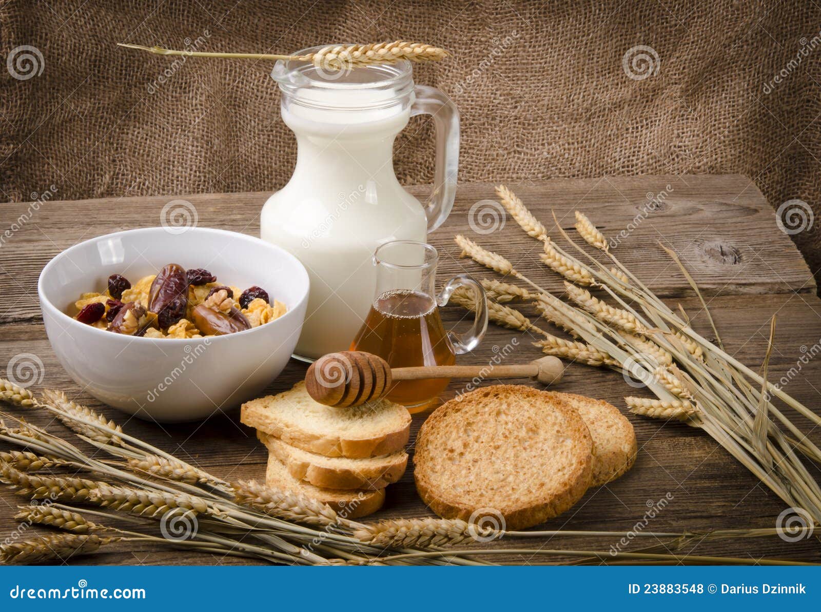Muesli with milk and rusk stock photo. Image of honey 23883548