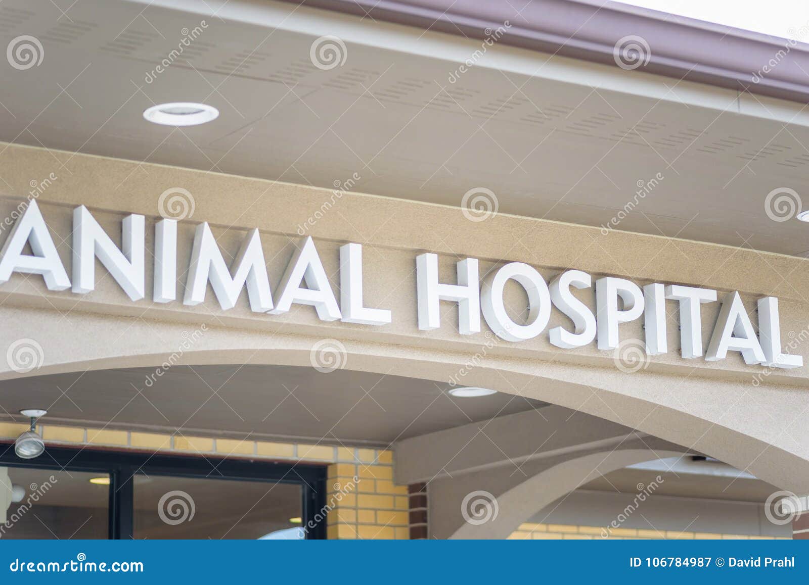 Muestra Exterior Del Edificio Del Hospital Veterinario Imagen de