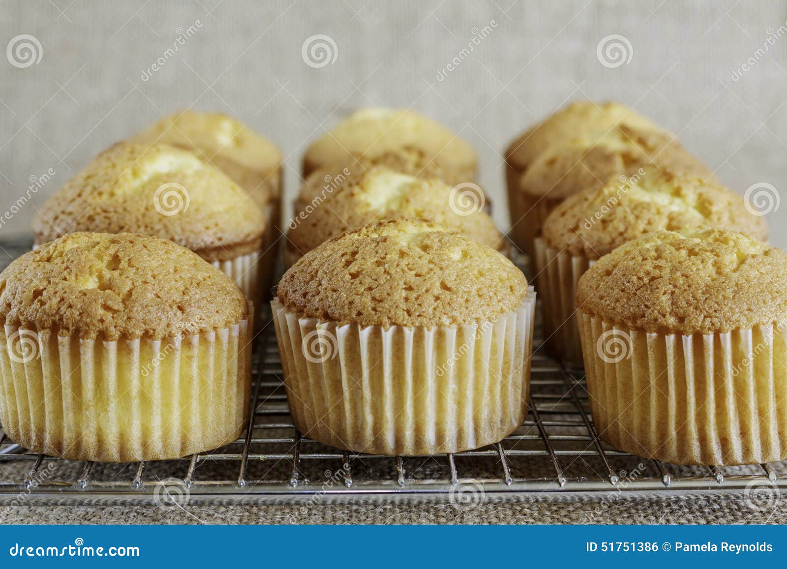 Muffins on a Cooling Rack stock photo. Image of cases 51751386