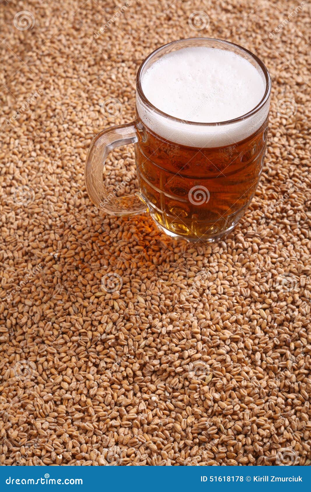 Mug of beer on malt stock photo. Image of brewing, malt 51618178