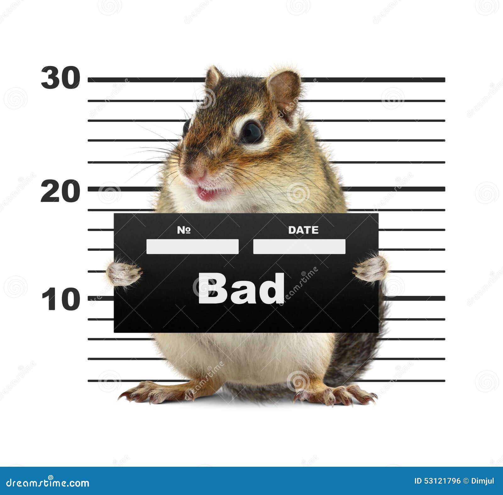 mugshot background with rodent