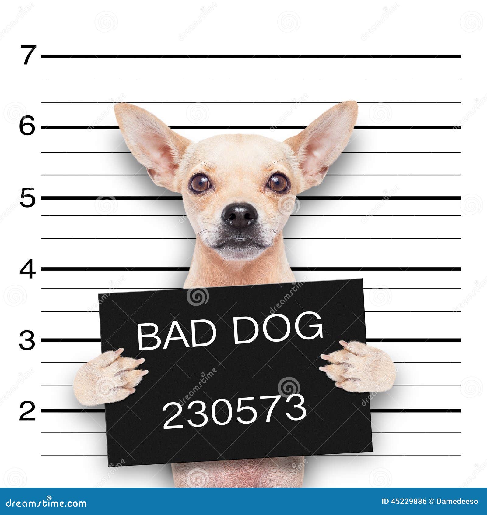 Puppy Police Dog Cartoon Puppy Police Dog Cartoon