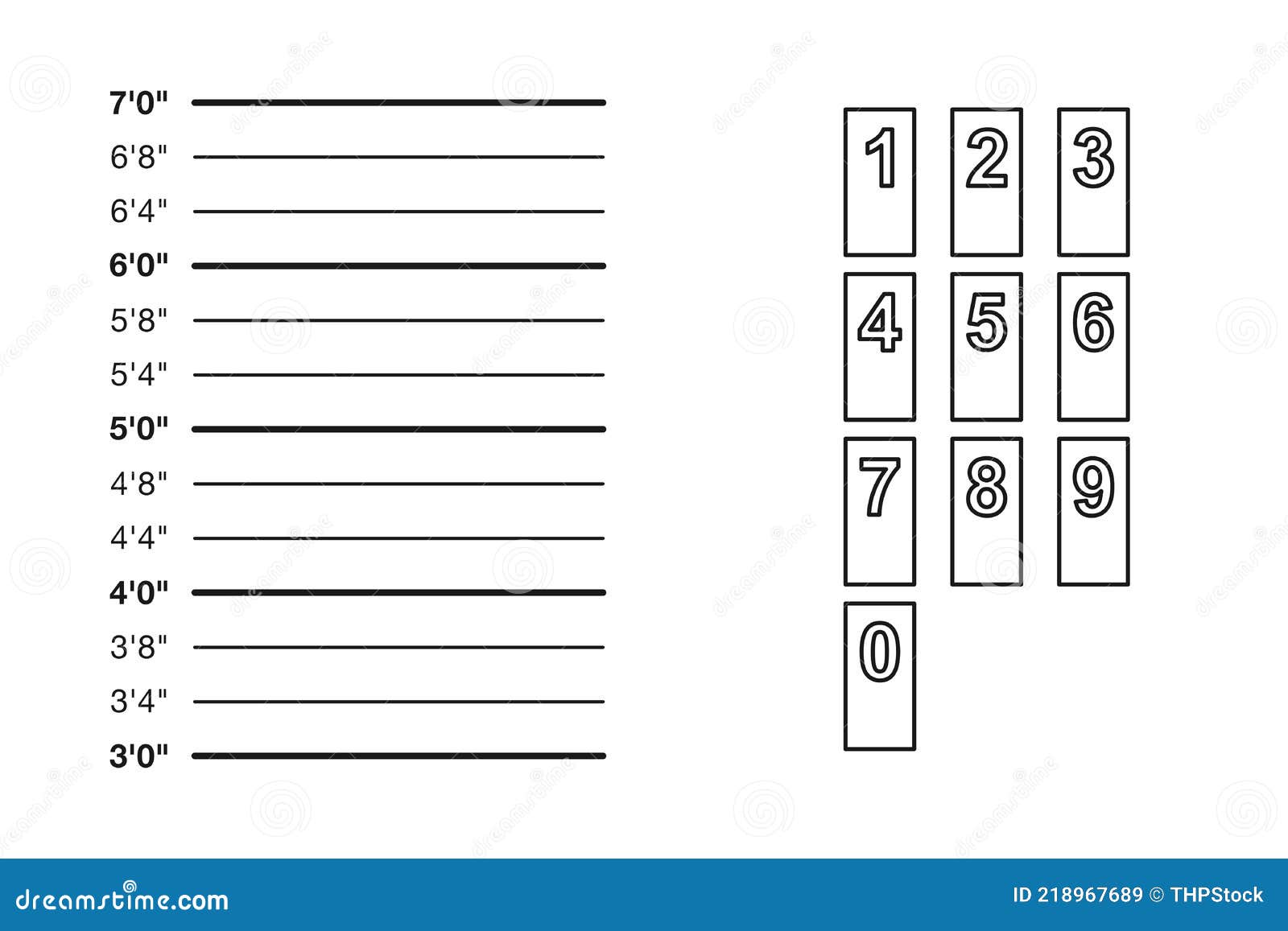 Mugshot Height Chart stock vector. Illustration of feet - 218967689