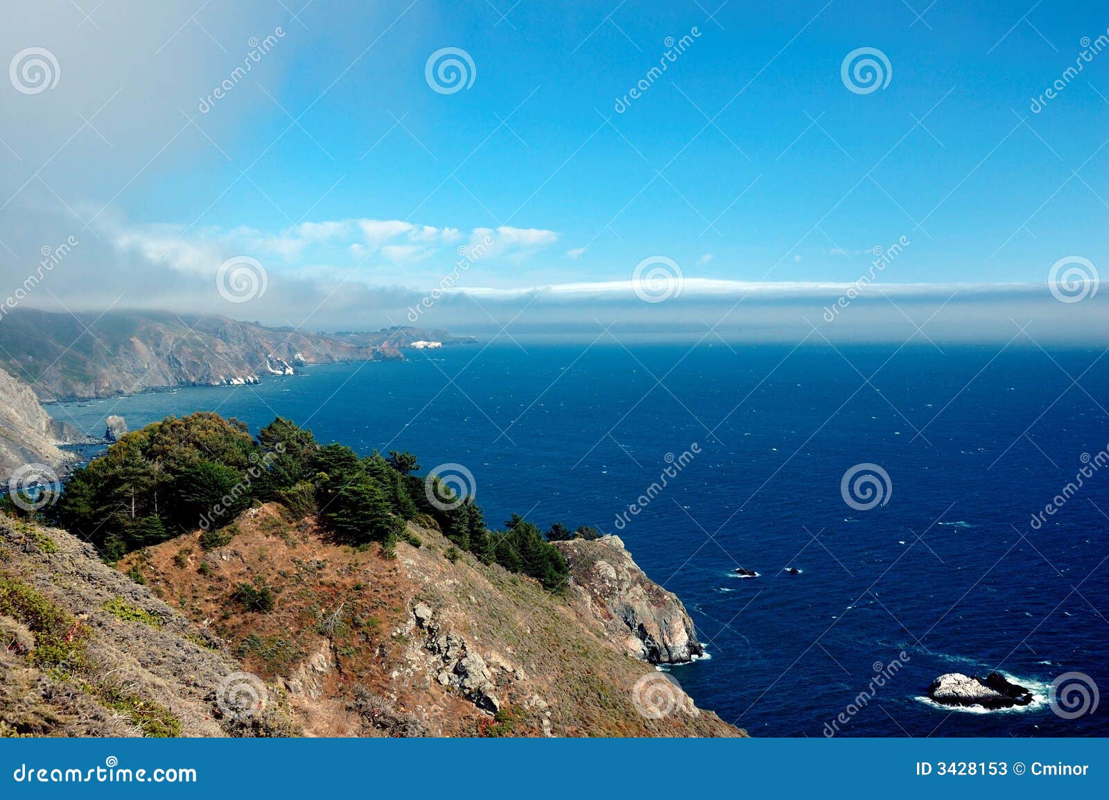 muir woods overlook