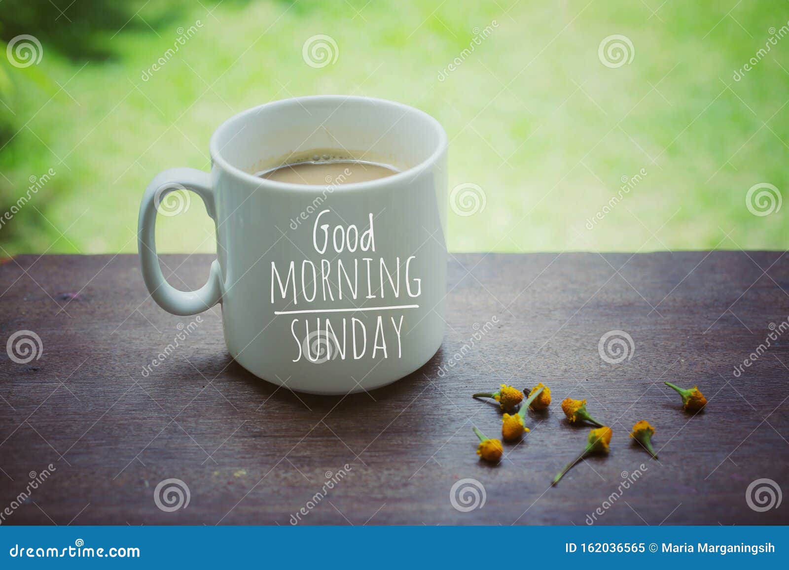 Muita De Café Café Branco Da Manhã Com Texto De Boas-vindas - Bom Dia Domingo E Arranjo De Flores Amarelas Imagem de Stock - Imagem de positivo, aroma: 162036565 Muita De Café Café Branco Da Manhã Com Texto De Boas-vindas - Bom Dia Domingo E Arranjo De Flores Amarelas Imagem de Stock - Imagem de positivo, aroma: 162036565
