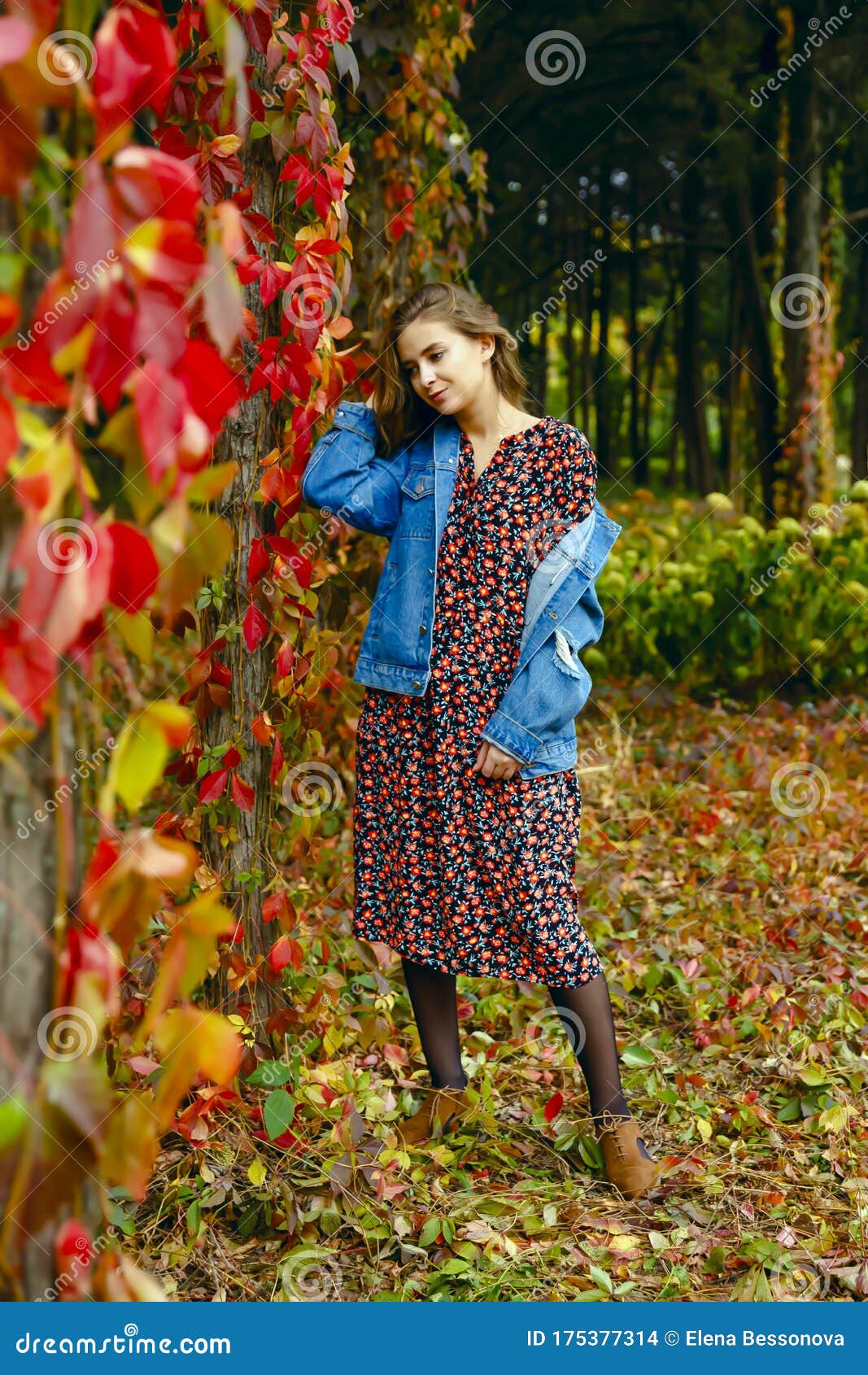 Mujer Adorable. Conjunto Elegante De Otoño. Una Dama Adorable Disfruta Del  Soleado Día De Otoño Foto de archivo - Imagen de glamour, hierba: 175377314