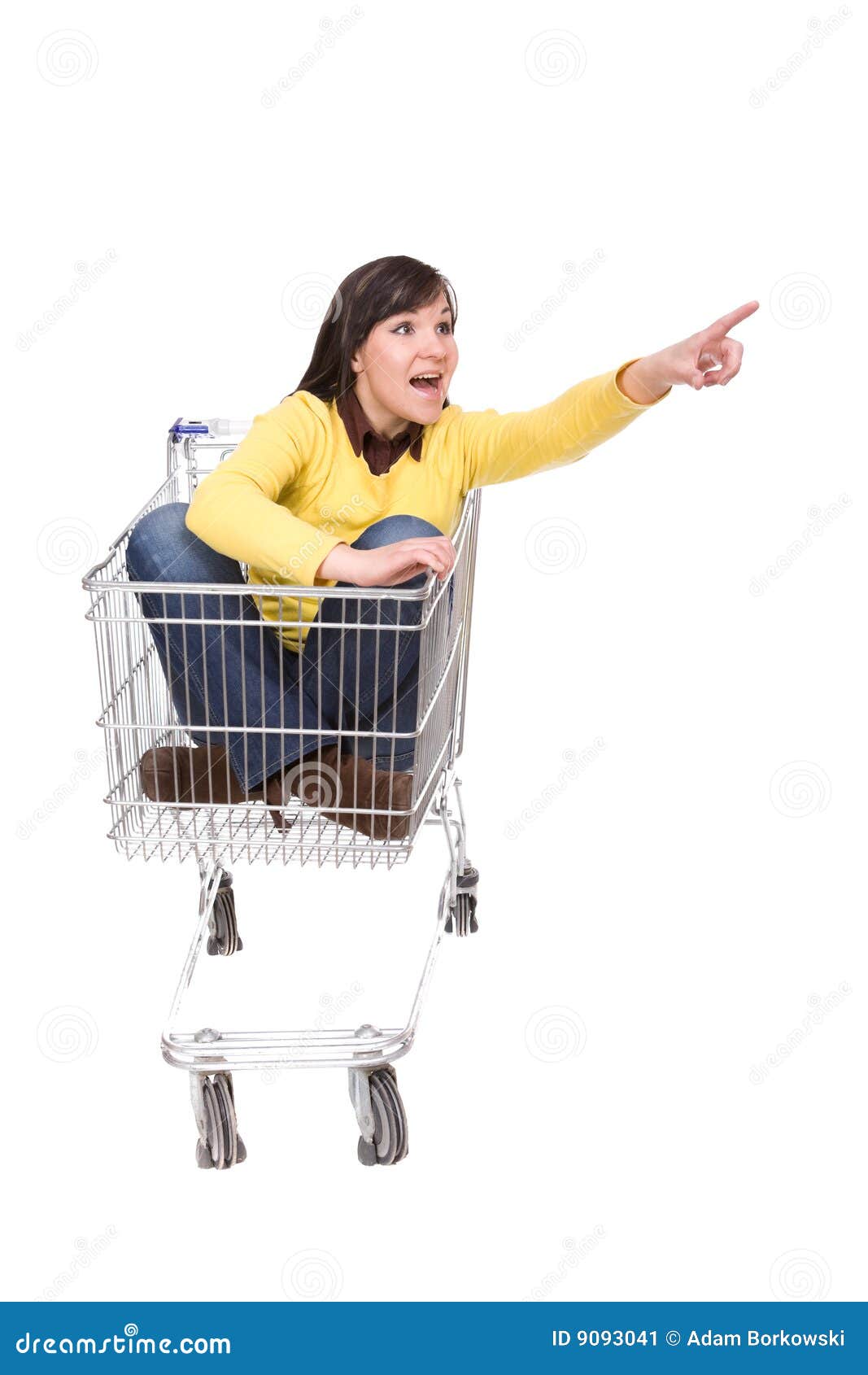 Mujer Con Carrito De La Compra Imagen de archivo - Imagen de compra,  carretilla: 9093041, image size:1067x1690