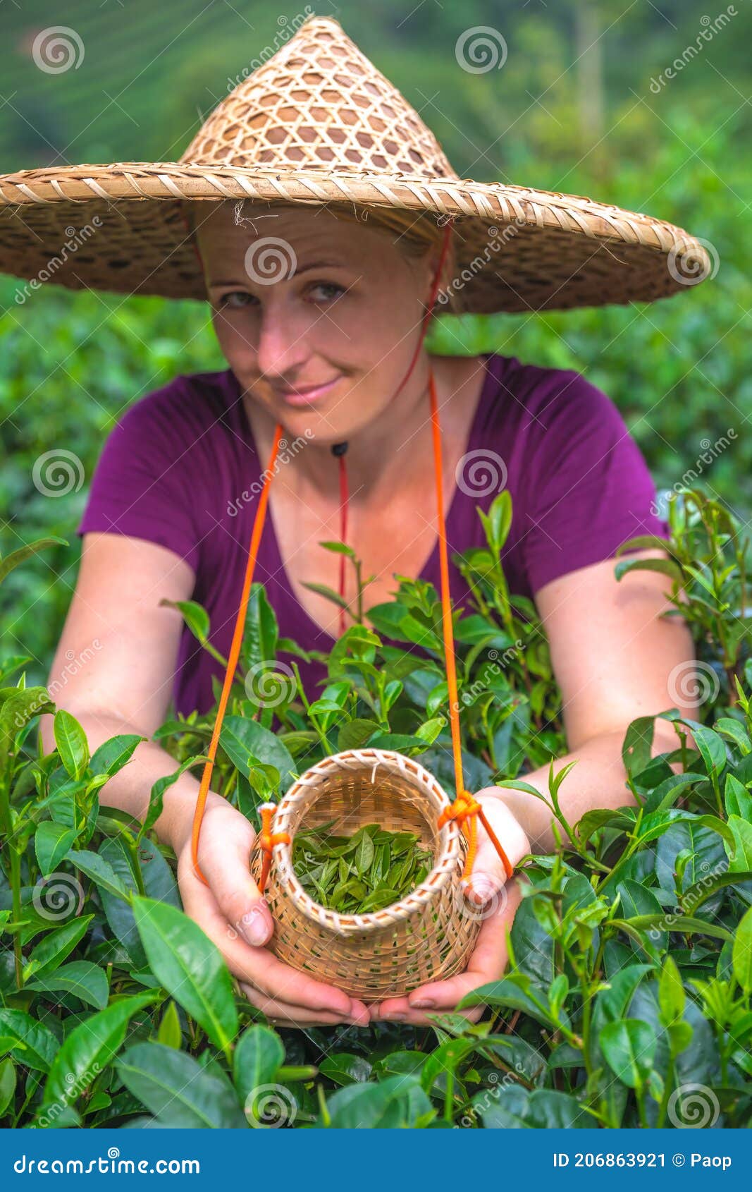 Mujer Con Sombrero Chino Tradicional Recogiendo Té En Una