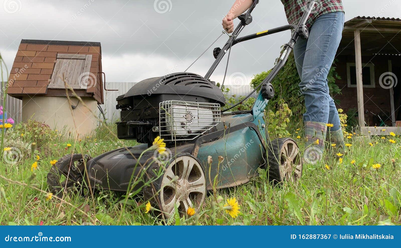 Mujer Cortando Pasto De Carril Con Una Cortadora De Césped Cerca, Jardinería En Verano Imagen de archivo