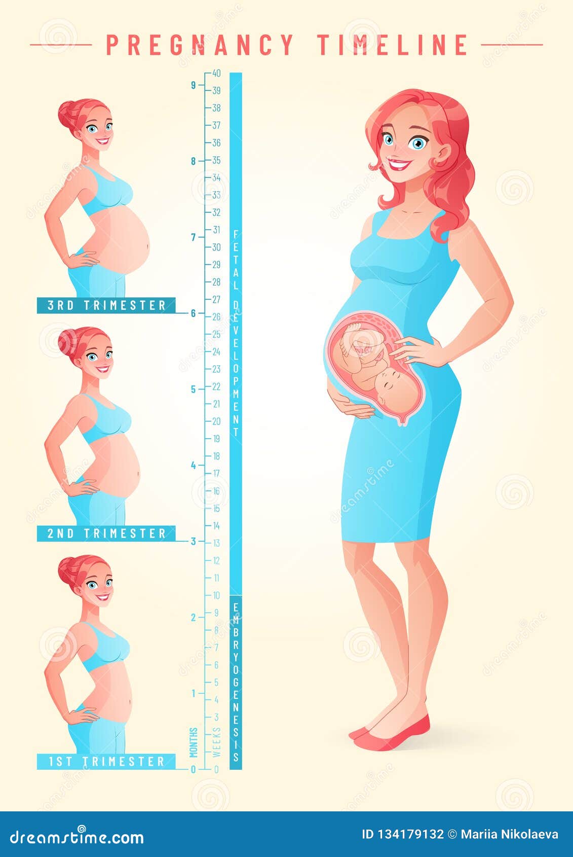 Mujer Embarazada Con El Feto Ejemplo Del Vector De La 