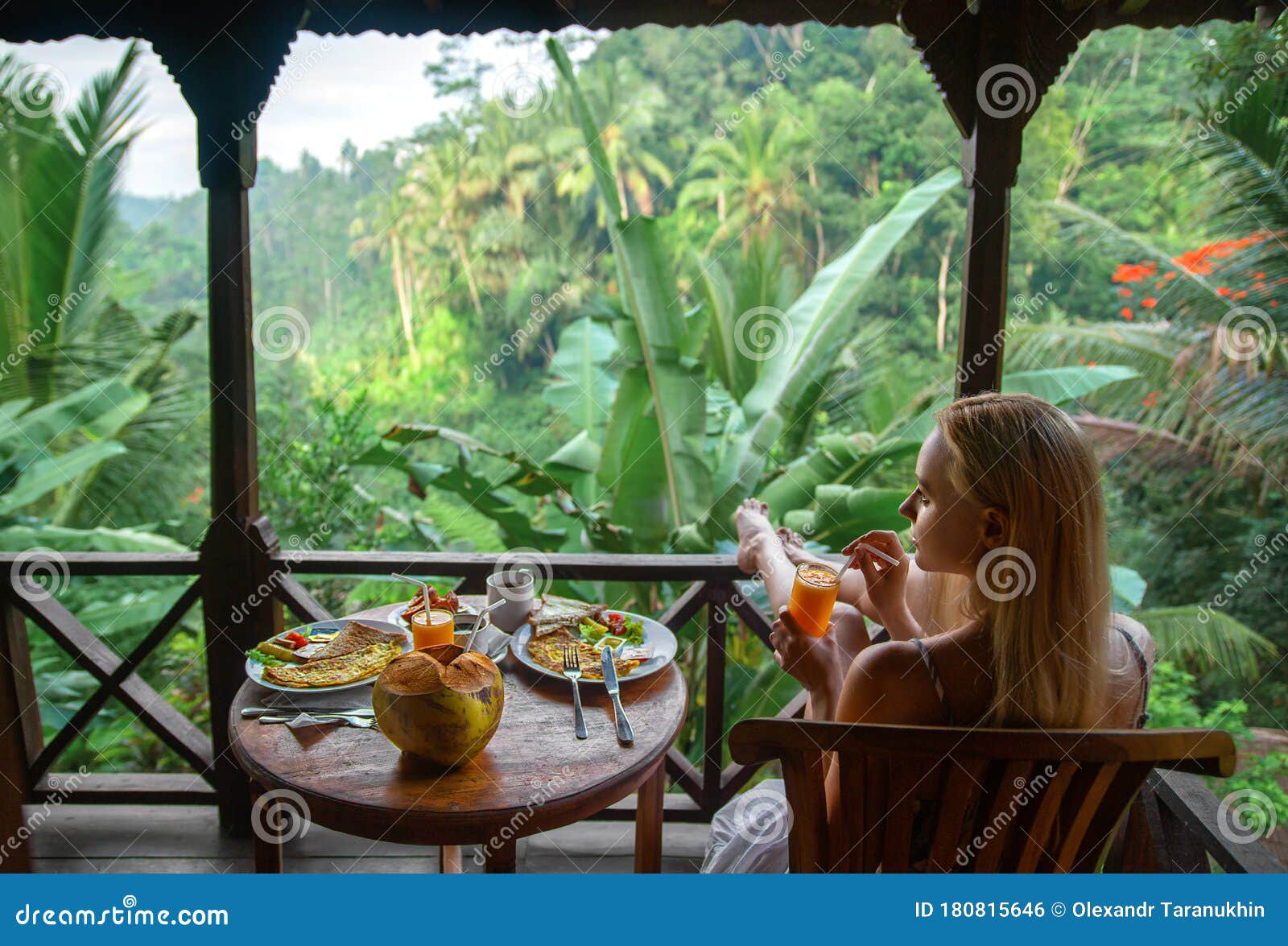 124,400 Desayuno Tropical Fotos de stock - Fotos libres de regalías de  Dreamstime