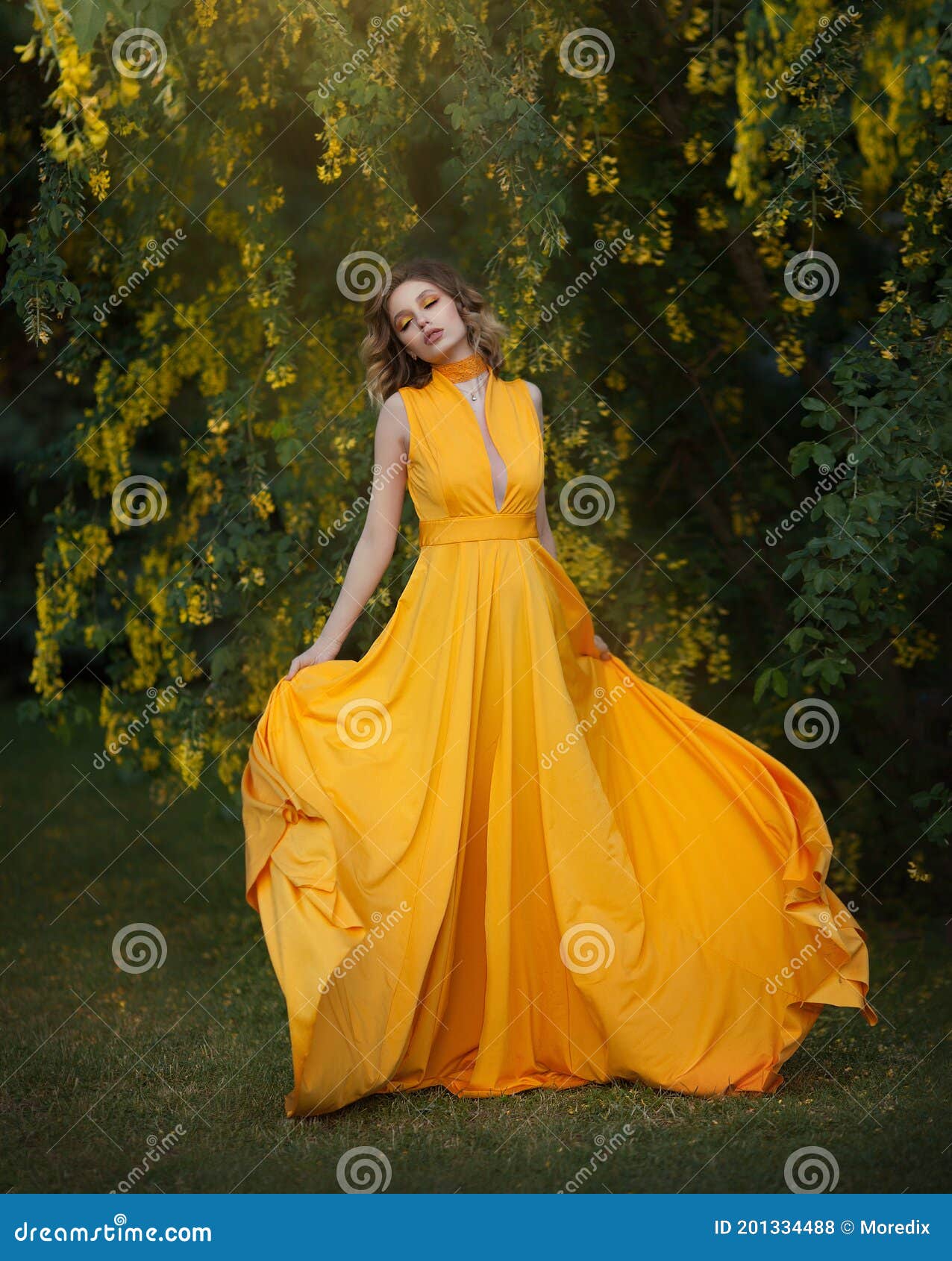 Mujer Vestido Largo Amarillo Que Bajo Un árbol En Auge Con Flores Amarillas Que Agitan El Paño De Seda Artístico Foto de archivo - Imagen de adulto, flores: 201334488