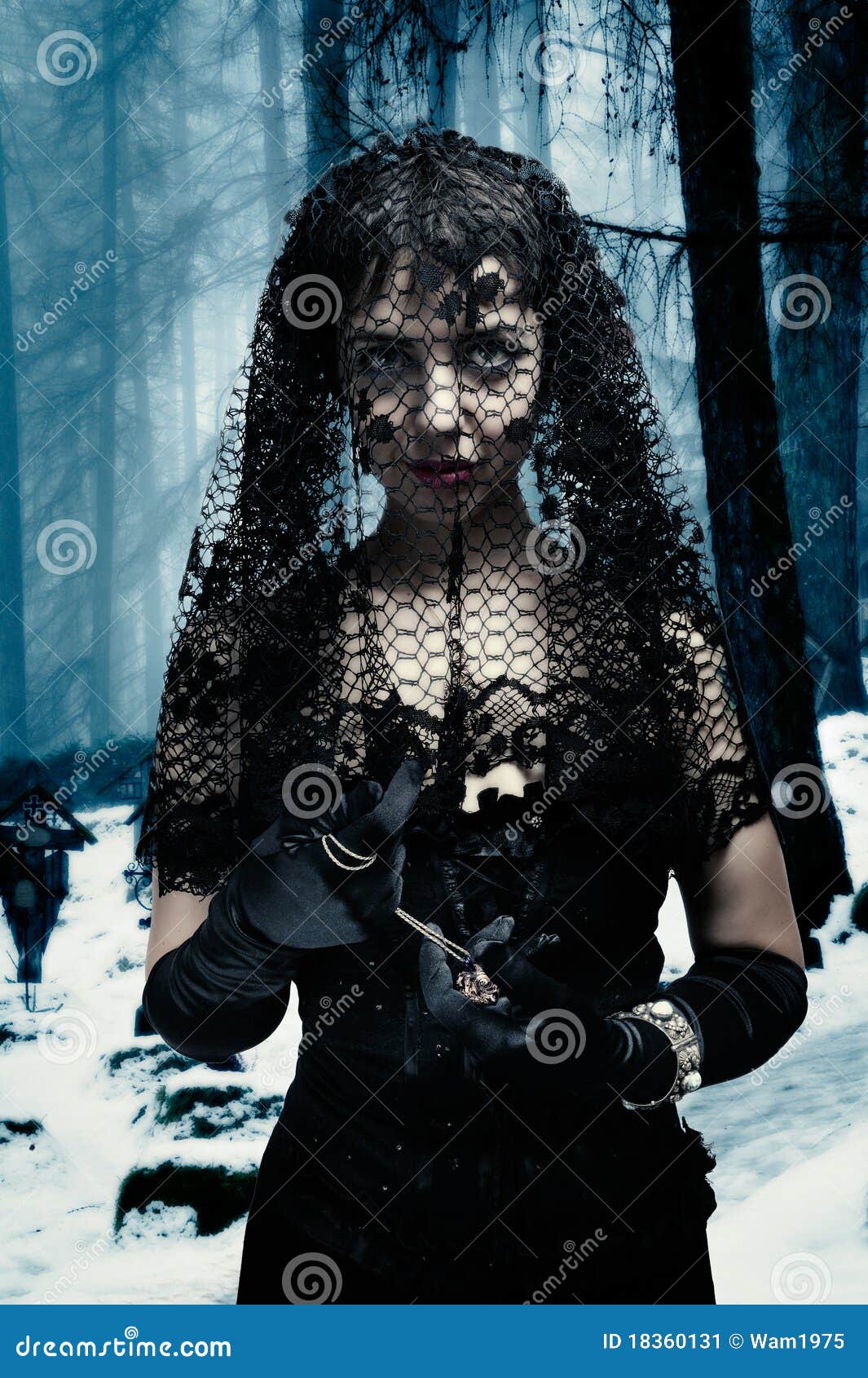 Mujer gótica en velo negro imagen de archivo. Imagen de guantes - 18360131