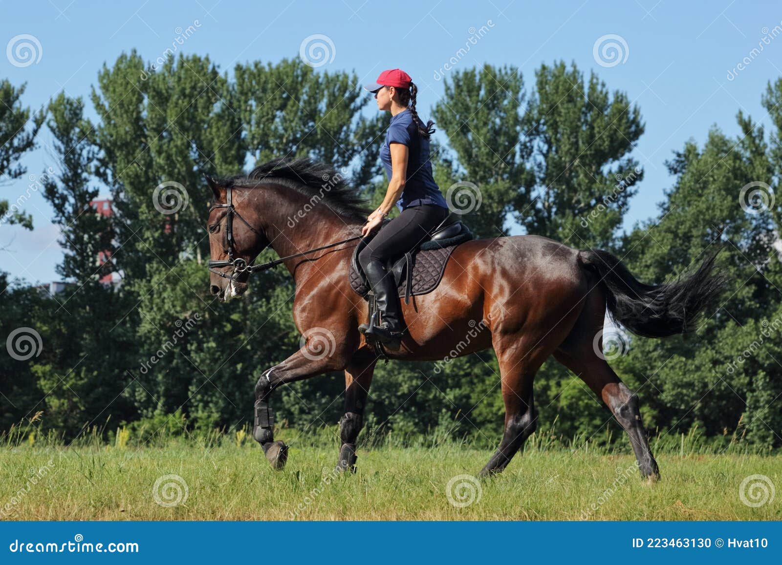 Mujer Joven Con Uniforme Y Caballo De Casco. Vestimenta Deportiva Ecuestre  Foto de archivo - Imagen de vestimenta, animal: 223463130