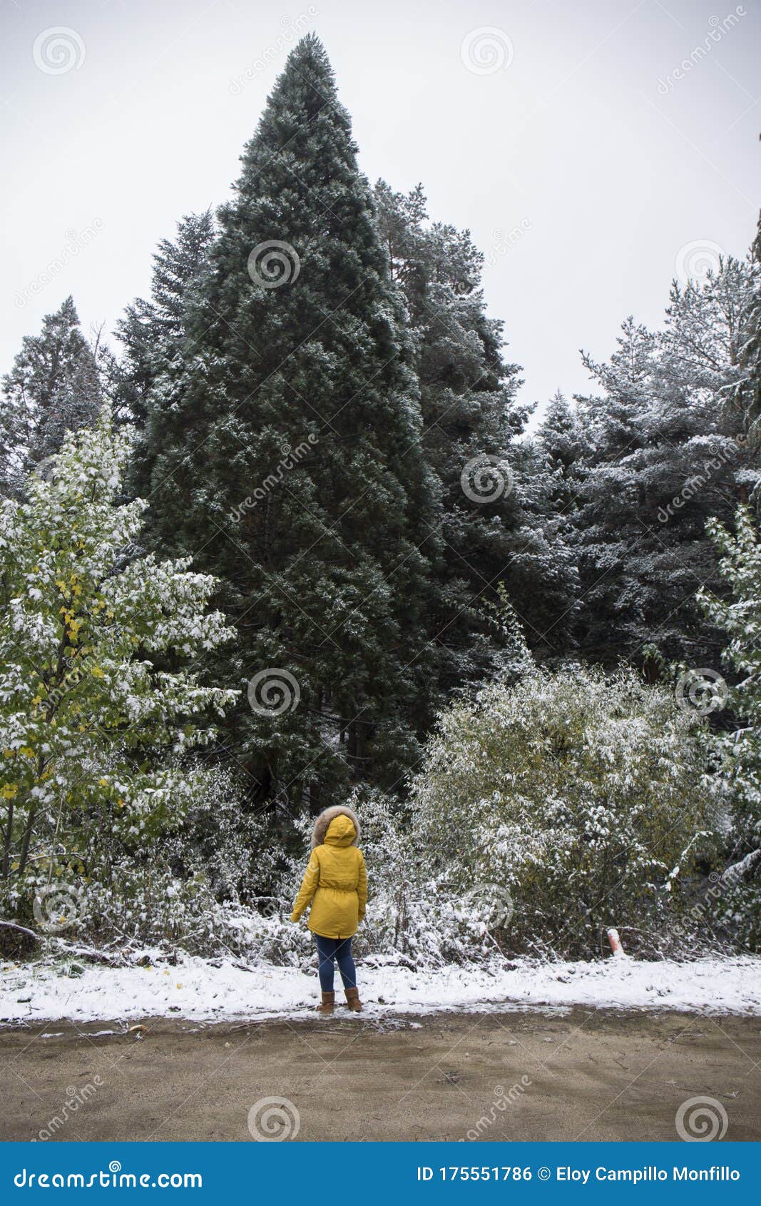 mujer joven disfrutando de la nieve