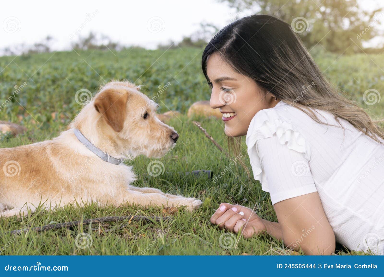 mujer joven tumbada en el campo con su perro,