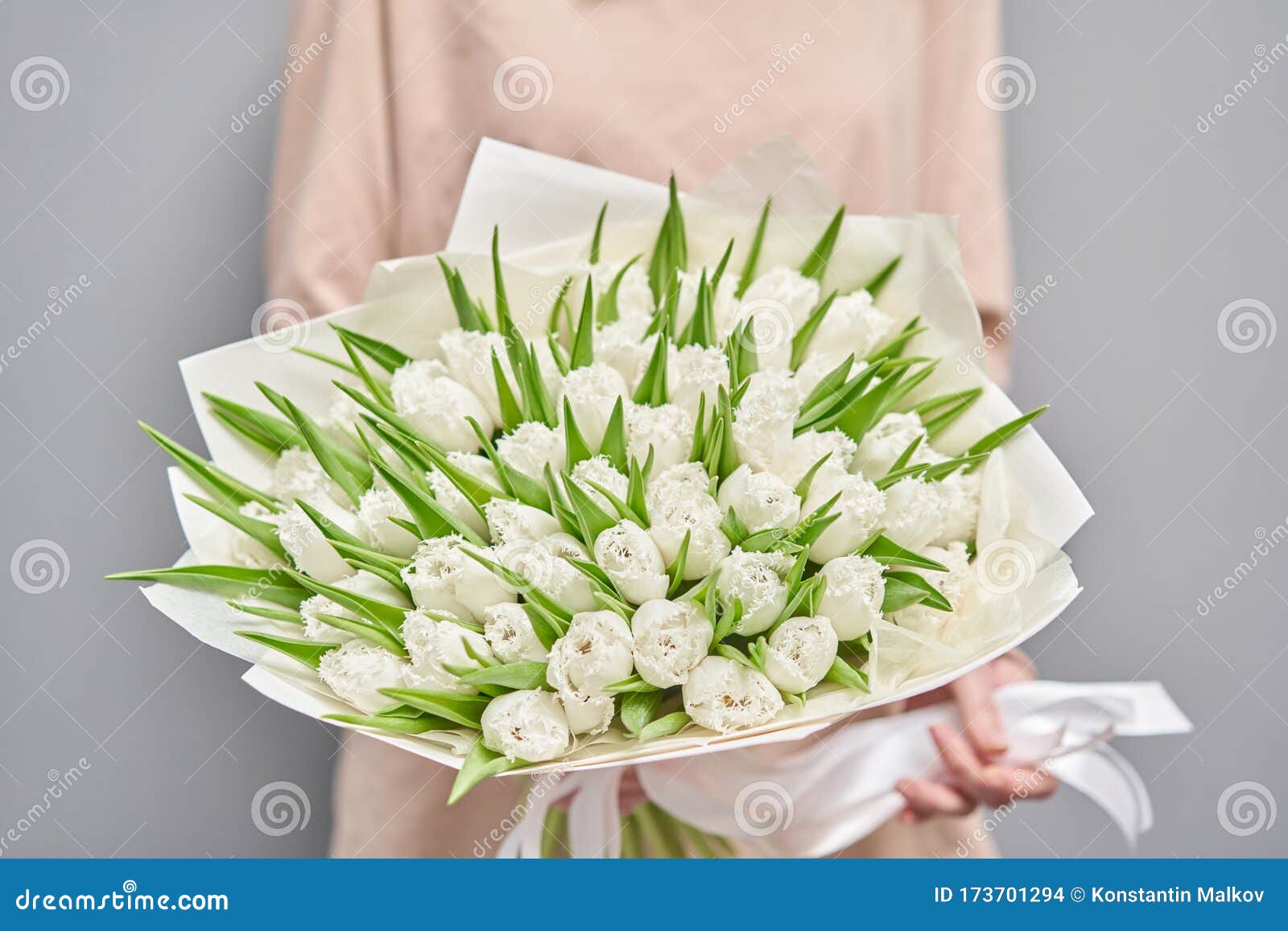 Mujer Joven Y Hermosa Sosteniendo Un Ramo Primaveral De Tulipanes Blancos  En Su Mano Montón De Flores Frescas Cortadas De Primave Foto de archivo -  Imagen de celebre, belleza: 173701294