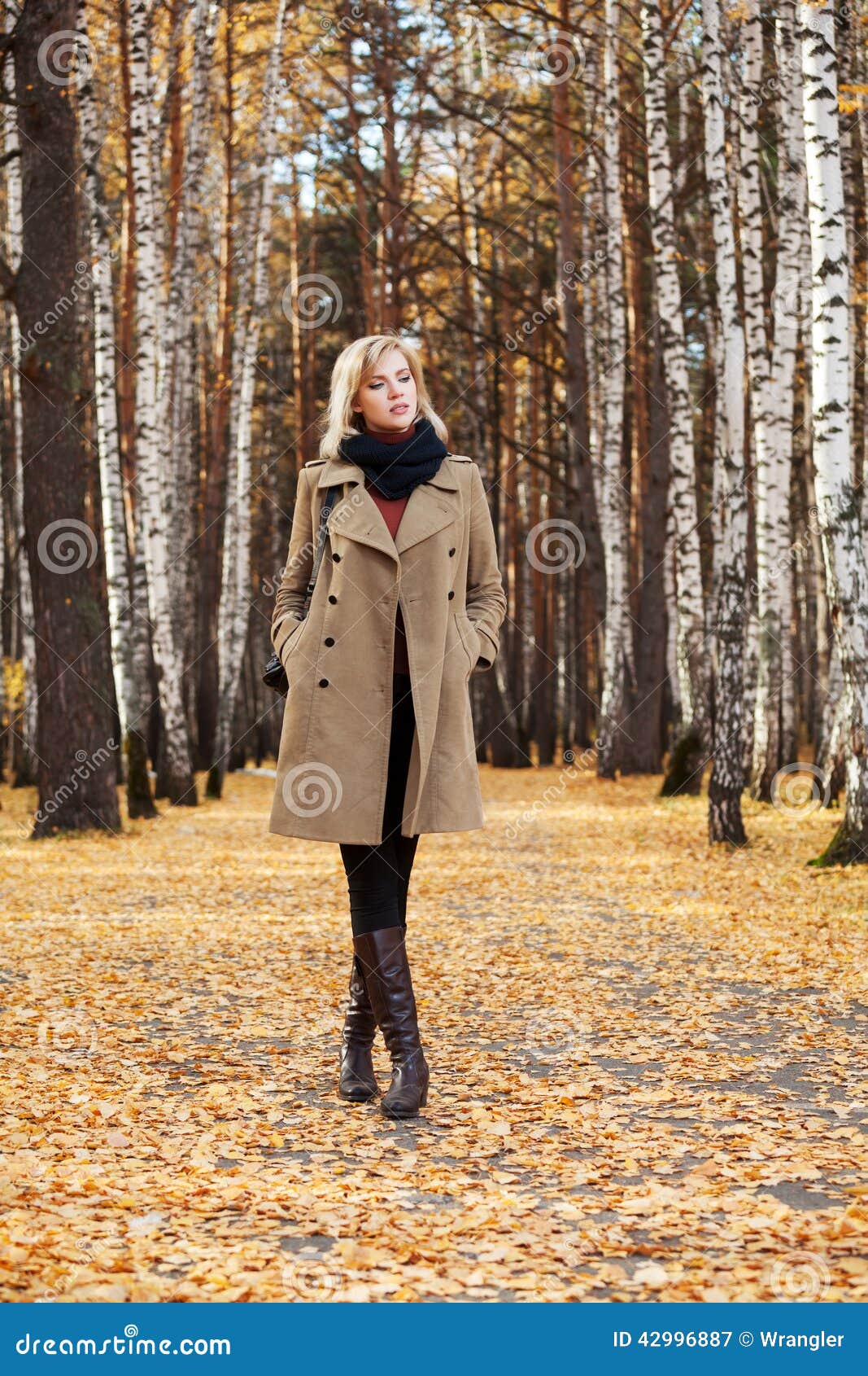 Mujer Rubia De La Moda Que Camina En Bosque Del Otoño Imagen de archivo -  Imagen de modelo, ropas: 42996887