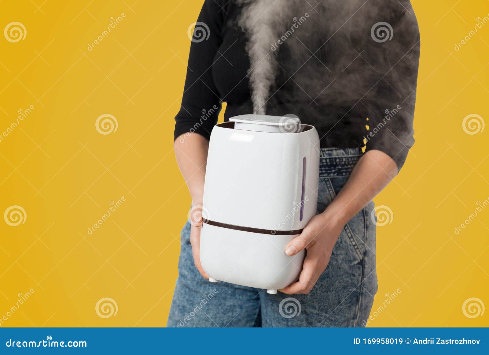 Mujer Sostiene Un Humidificador Con Vapor Frío Para La Salud Control De  Humedad Imagen de archivo - Imagen de aire, comodidad: 169958019