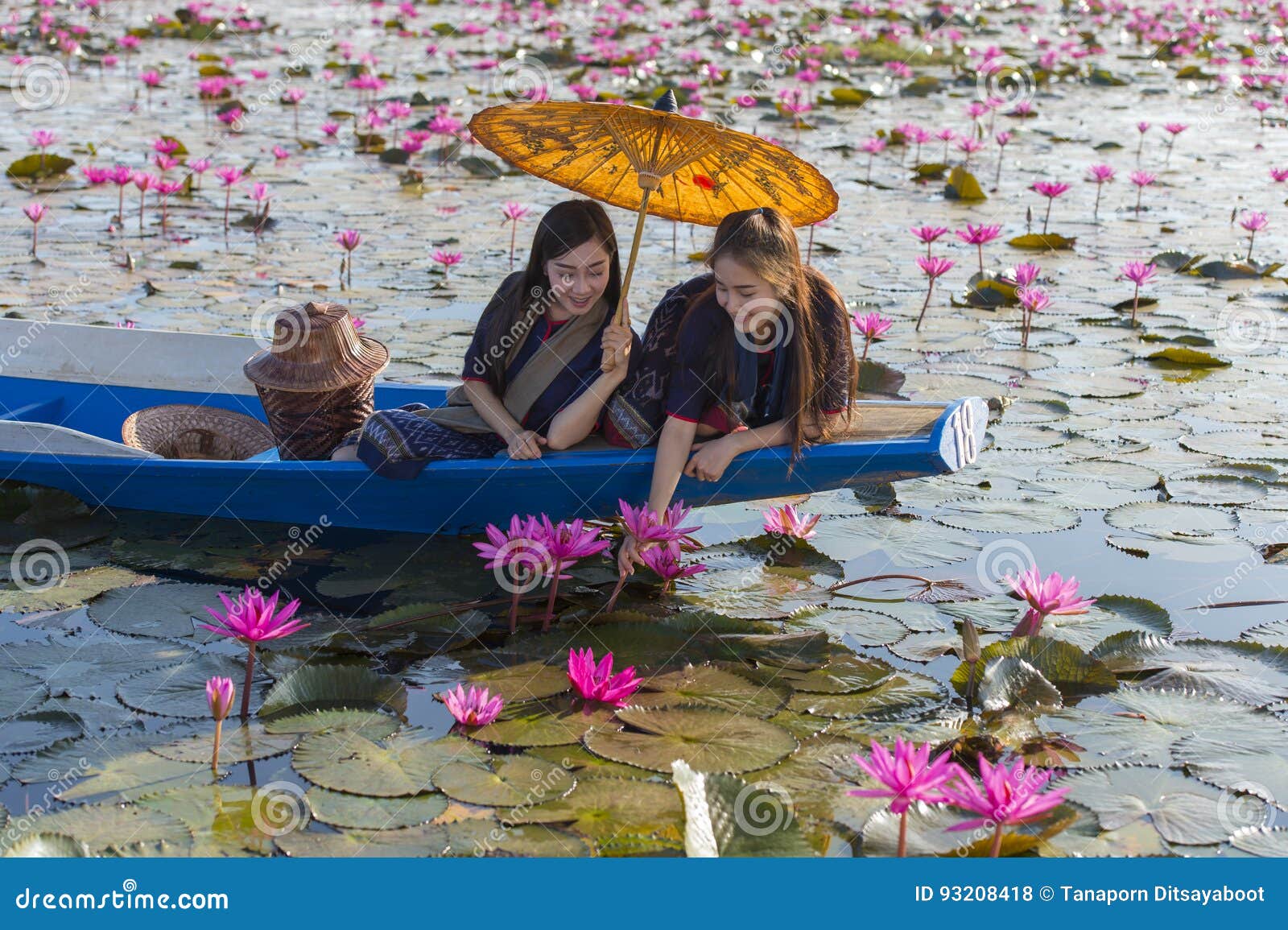 Mujeres de Laos en el lago del loto de la flor, mujer que lleva a la gente tailandesa tradicional, Lotus Sea roja UdonThani, Tailandia