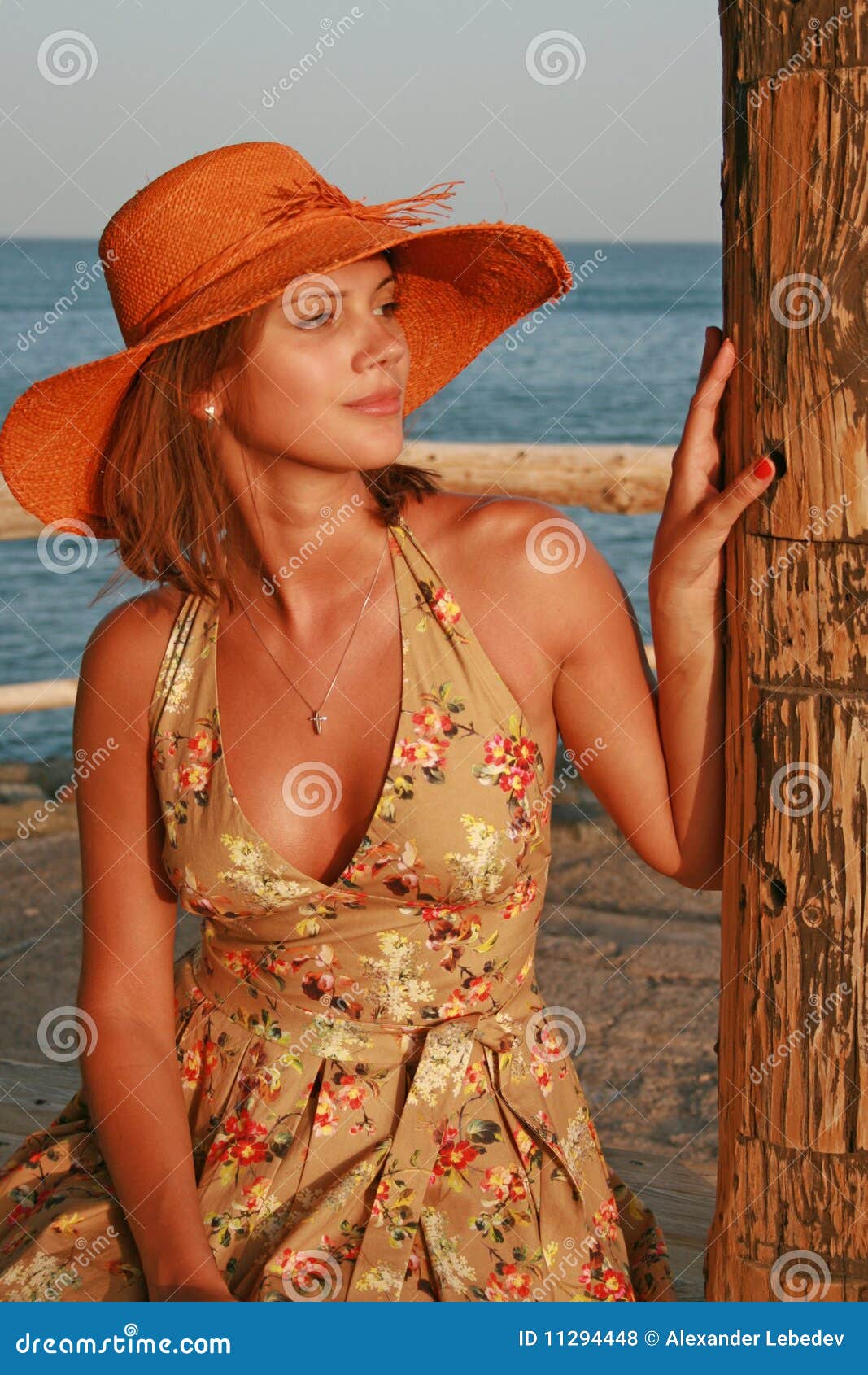 Mujeres En Sombrero En La Playa Foto de archivo - Imagen de océano,  anaranjado: 11294448