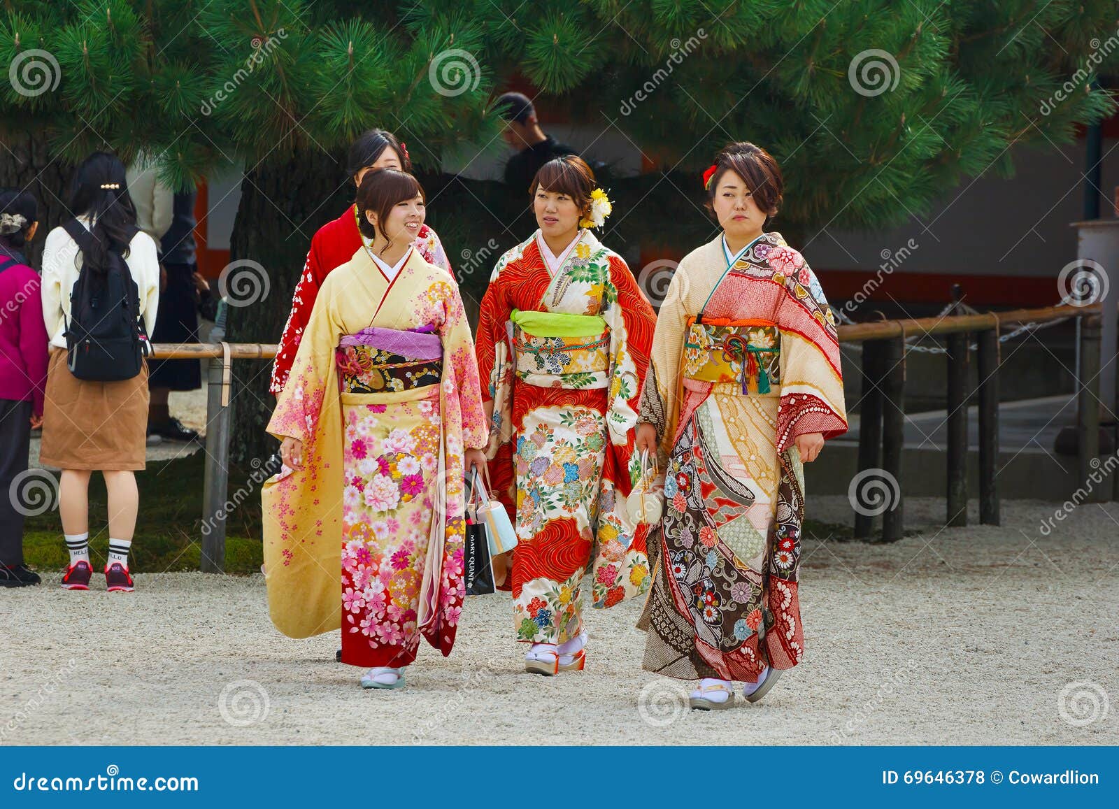 Mujeres Japonesas Hermosas En Un Vestido Del Kimono Foto de archivo editorial - belleza, asia: 69646378