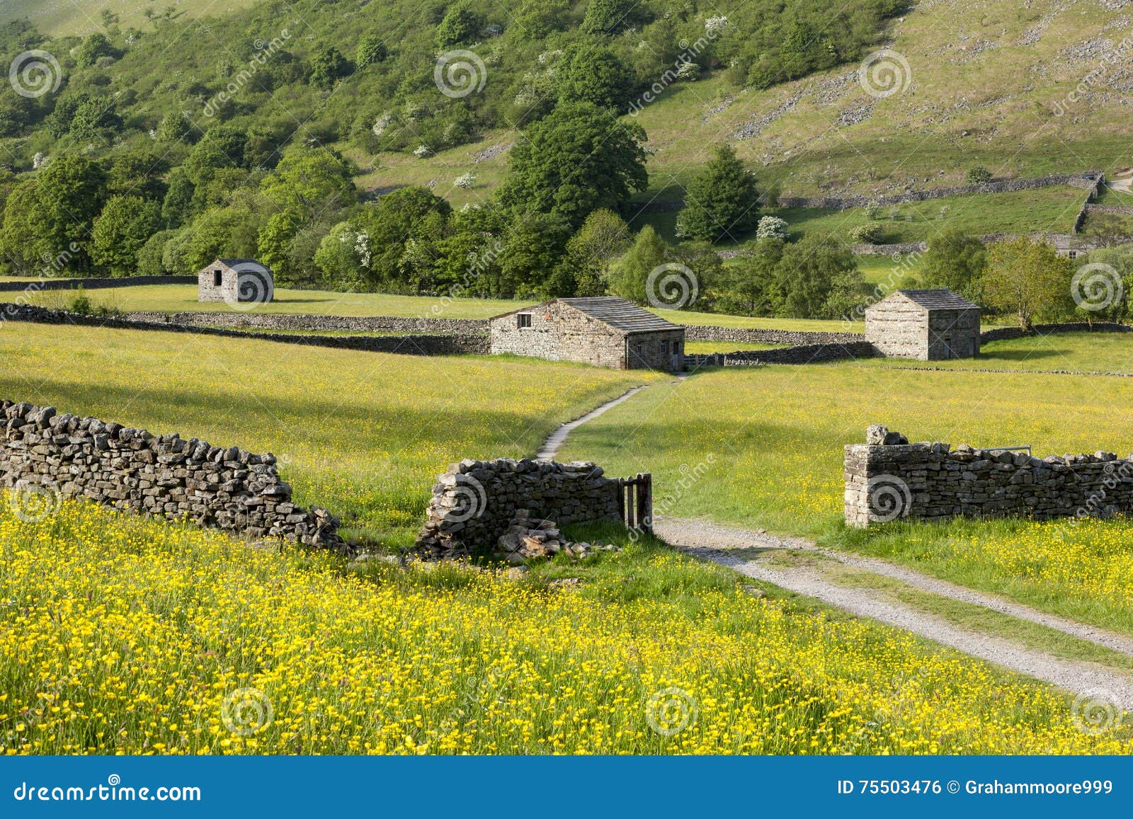 Muker Barns Stock Photo Image Of Traditional Hills 75503476
